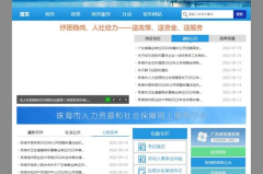 广东省人力资源和社会保障局网站,广东省人力资源和社会保障局网站资讯概览